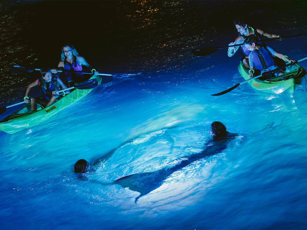 Night Kayaking